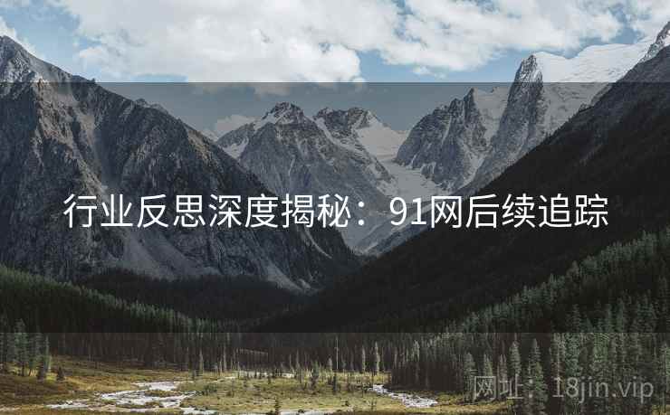 行业反思深度揭秘:91网后续追踪
