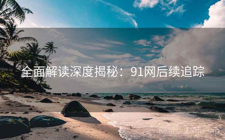 全面解读深度揭秘:91网后续追踪